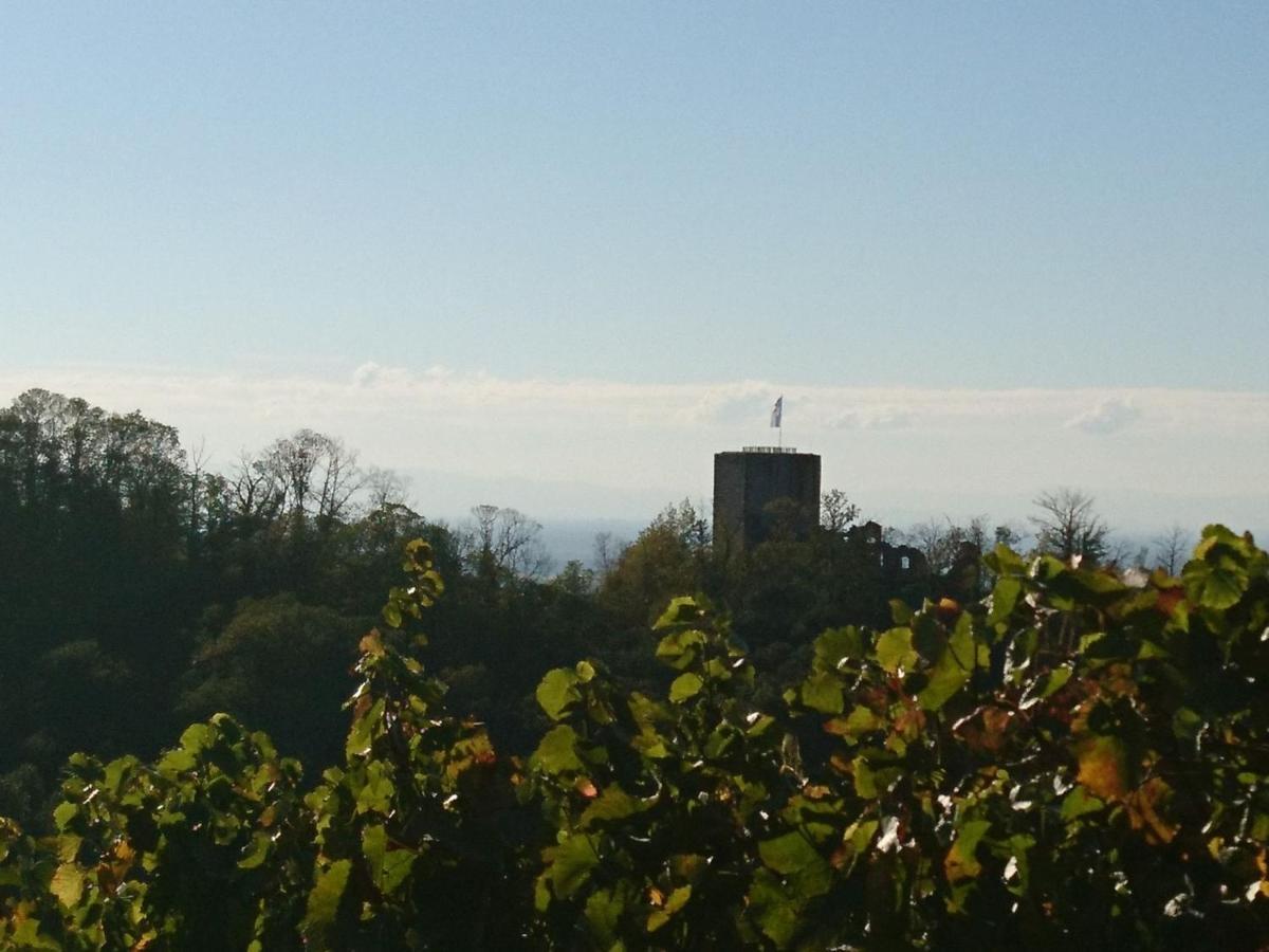 Fewo Vogesenblick Appartamento Lauf Esterno foto