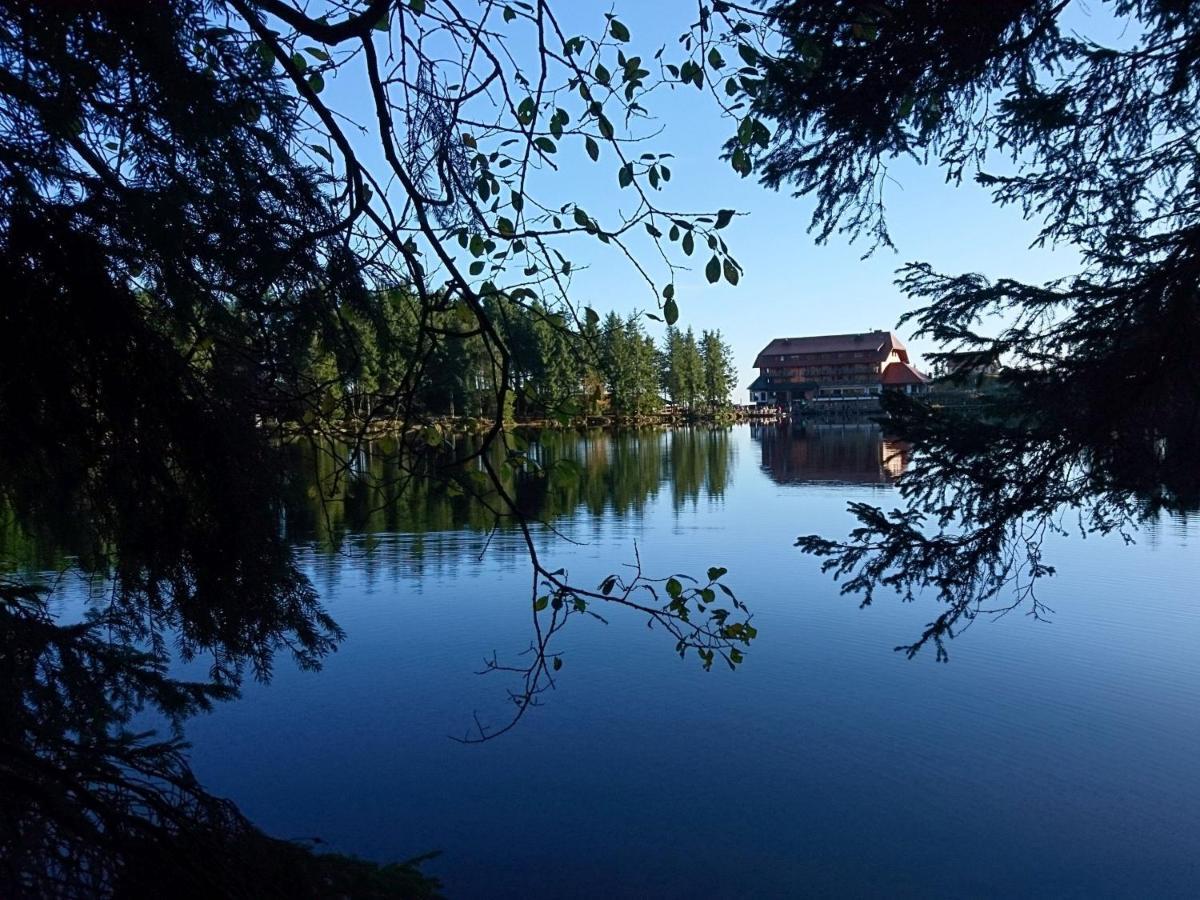 Fewo Vogesenblick Appartamento Lauf Esterno foto