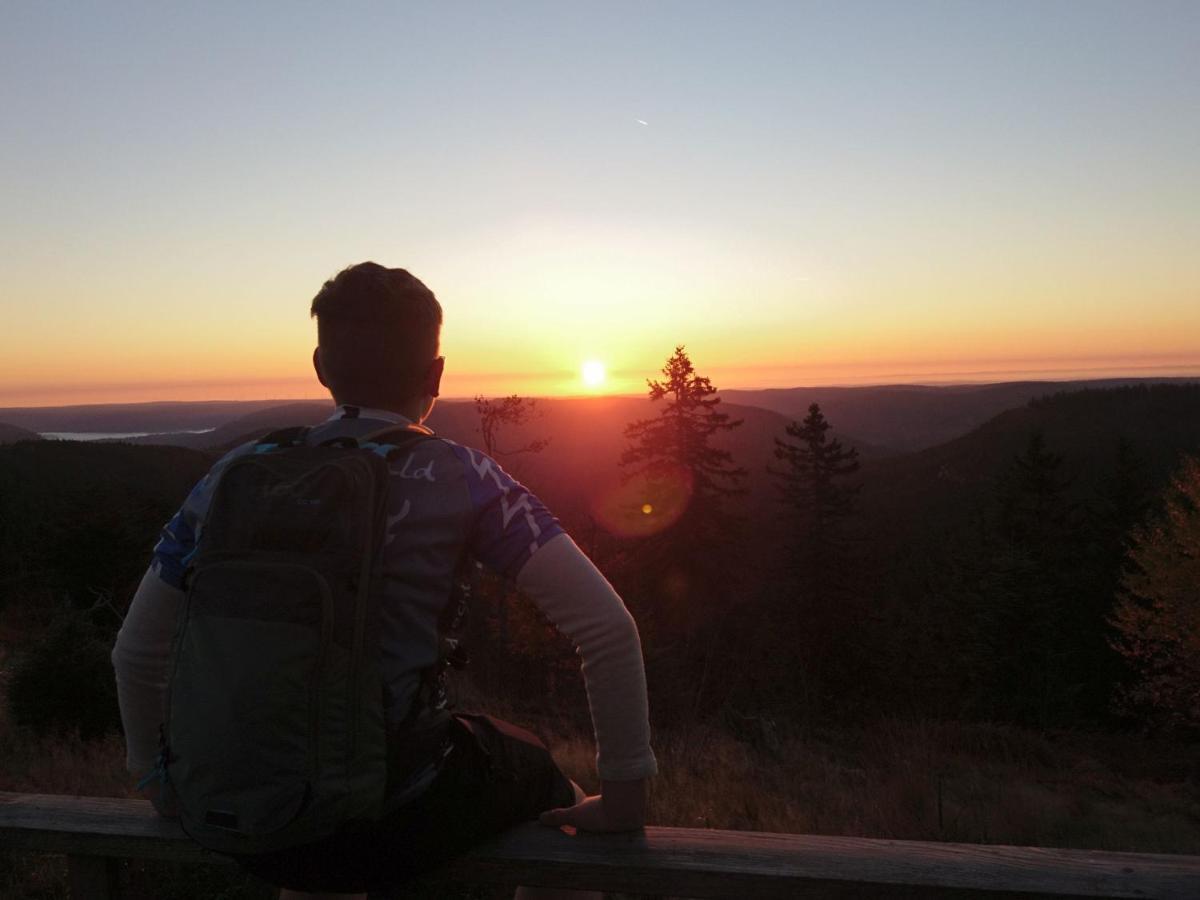 Fewo Vogesenblick Appartamento Lauf Esterno foto