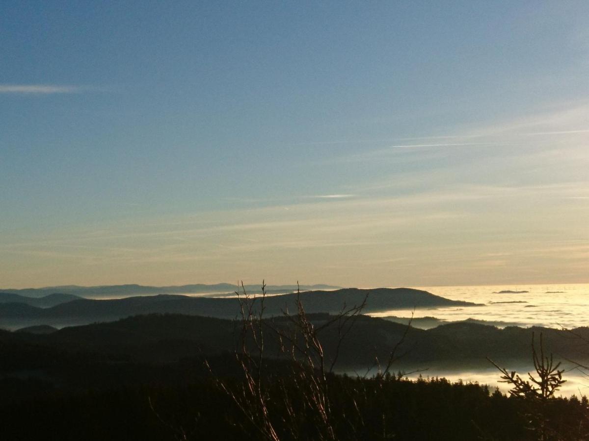 Fewo Vogesenblick Appartamento Lauf Esterno foto