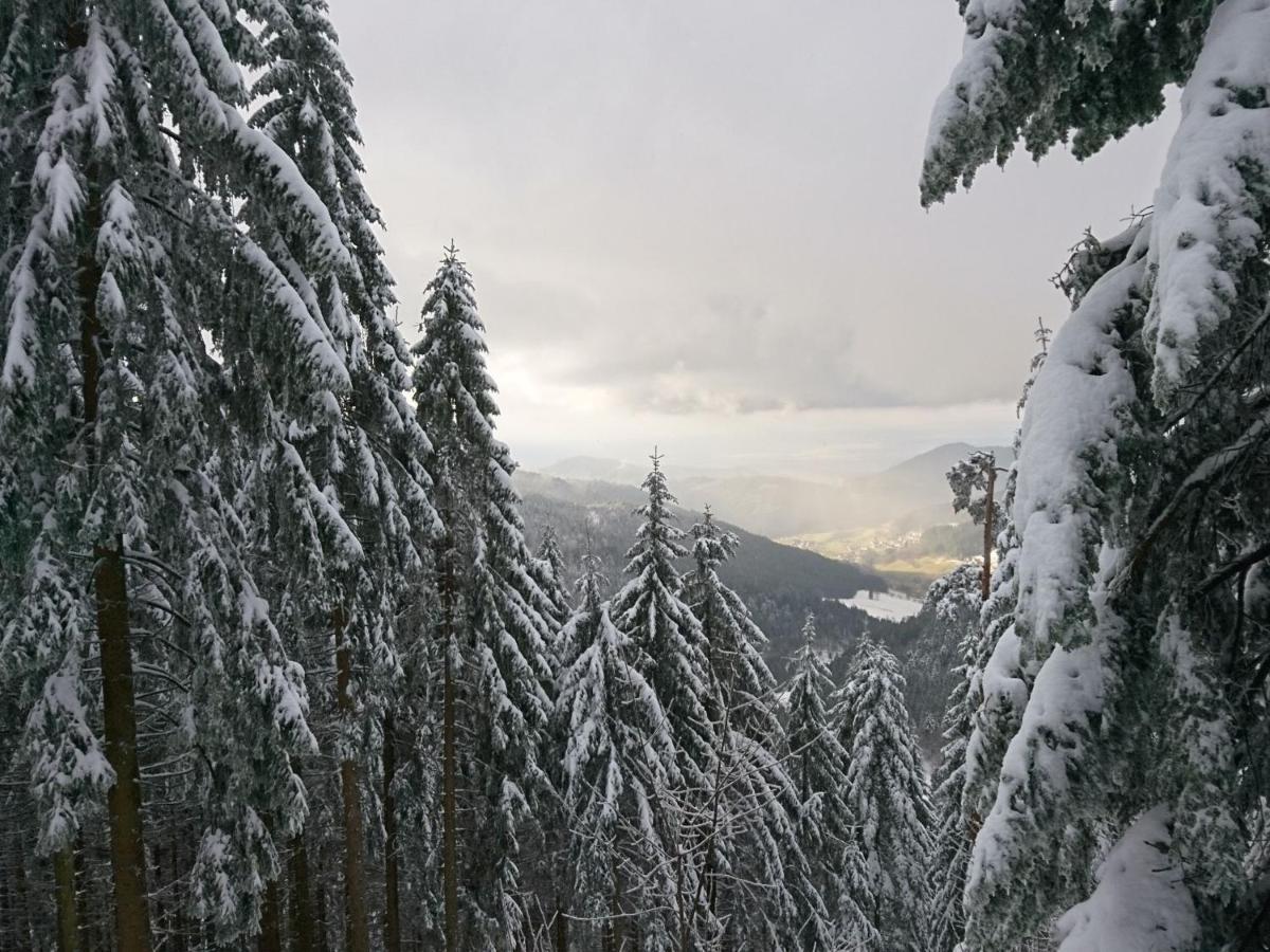 Fewo Vogesenblick Appartamento Lauf Esterno foto