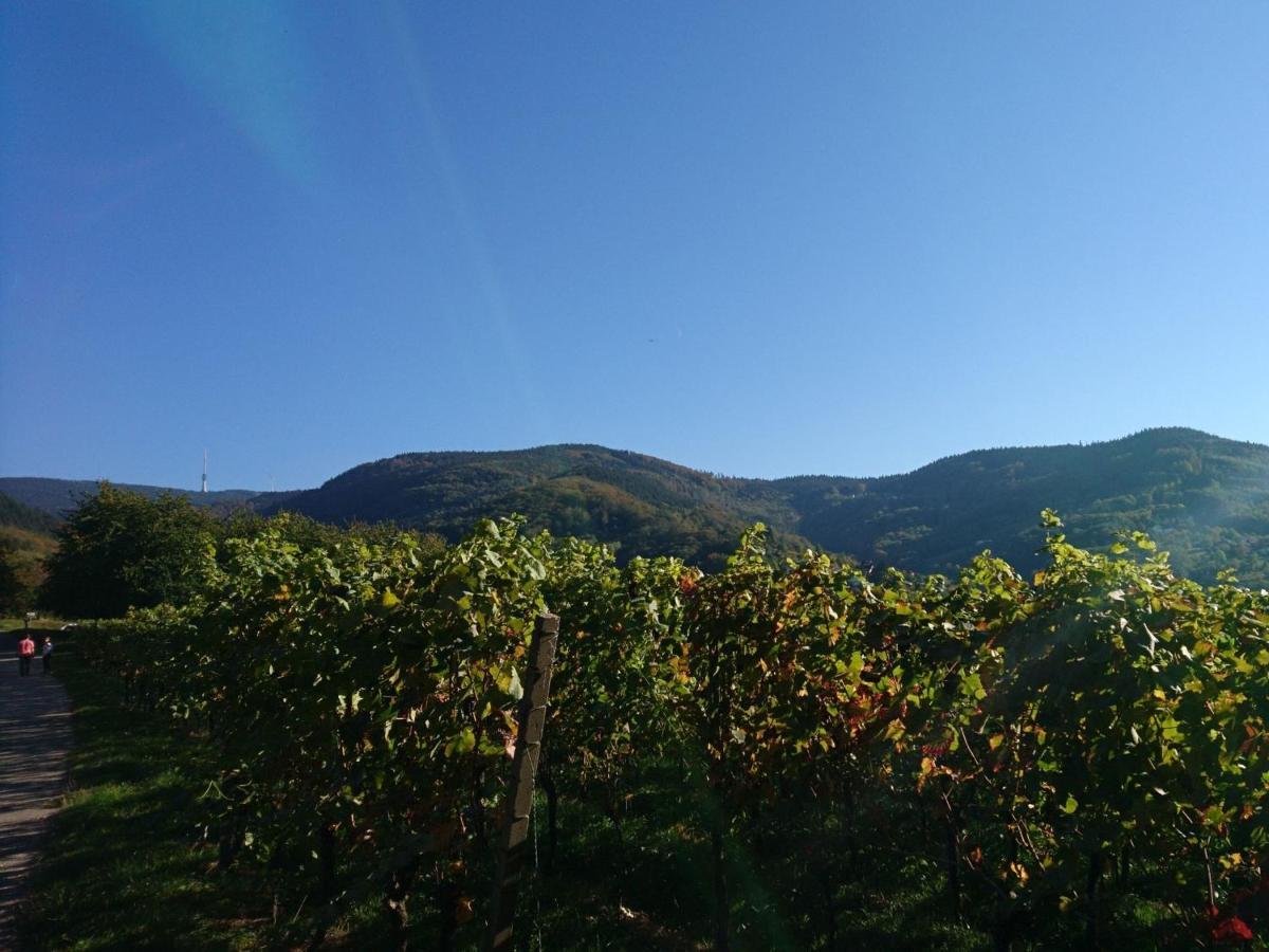 Fewo Vogesenblick Appartamento Lauf Esterno foto
